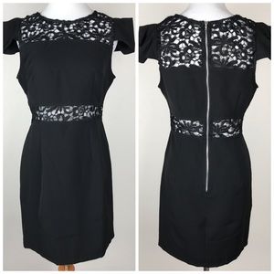 Angel Biba Black Lace Dress NEW